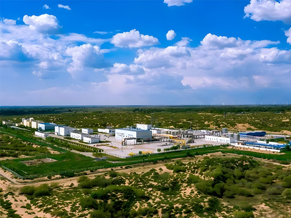 �L�c����c�����Ƽ��䡱�鶬������⡱